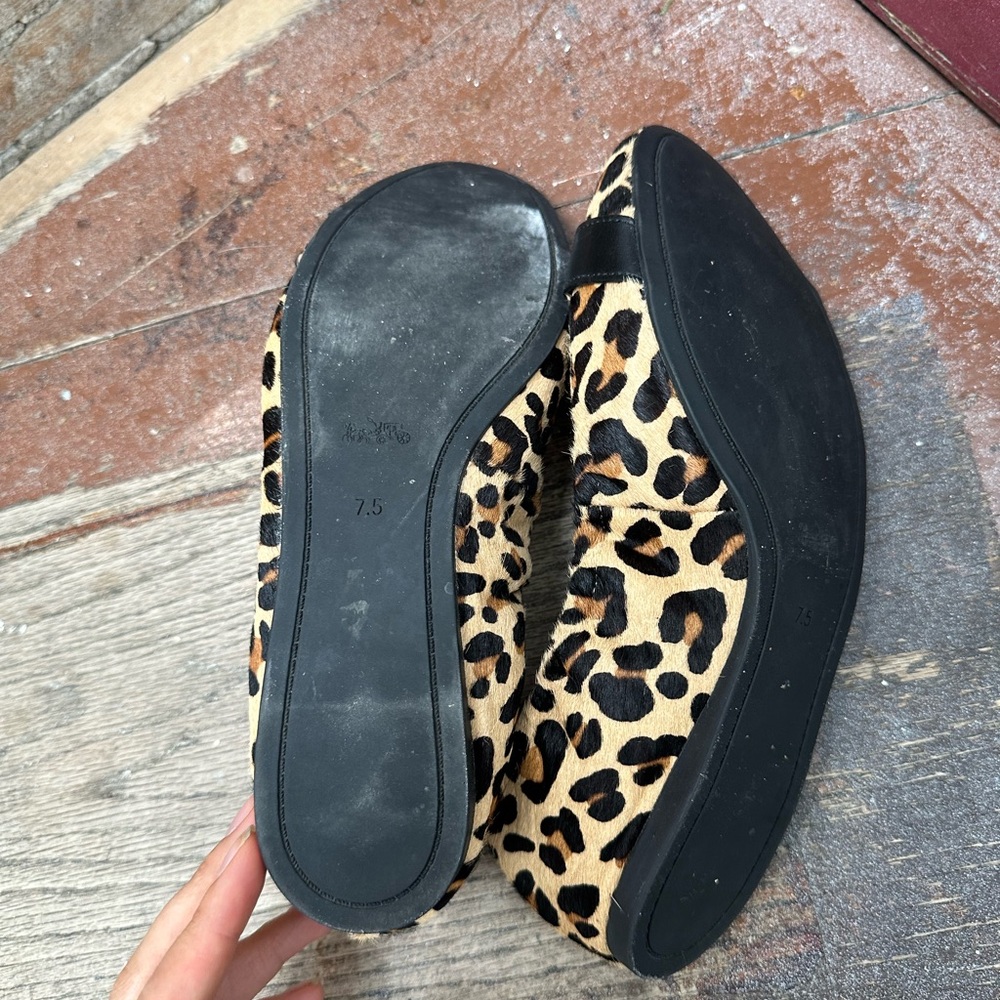 Coach Stanton Leopard Ballet - Picture 3 of 3